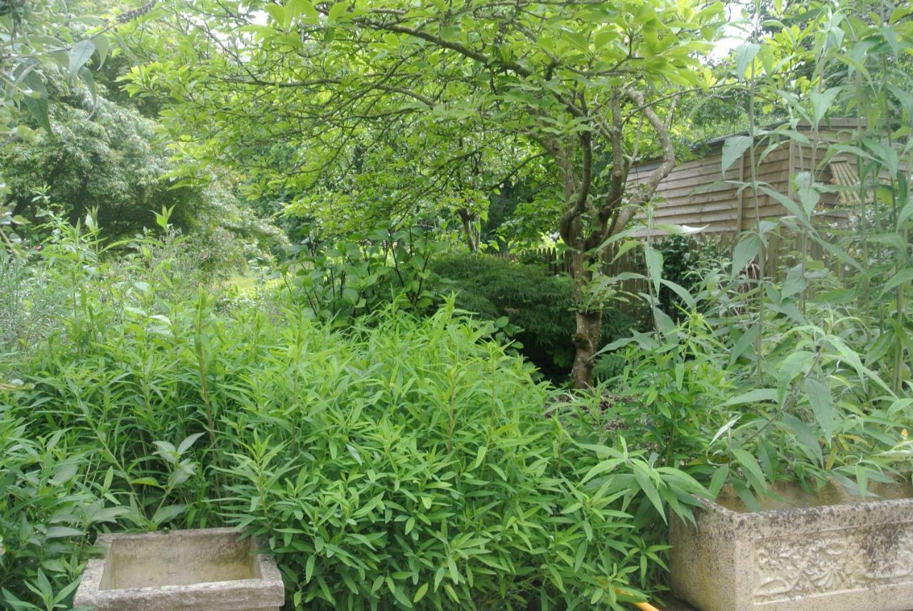 Higher Brockwell Annexe Wootton Courtenay Esterno foto